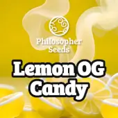 Lemon OG Candy Lemon OG Candy
