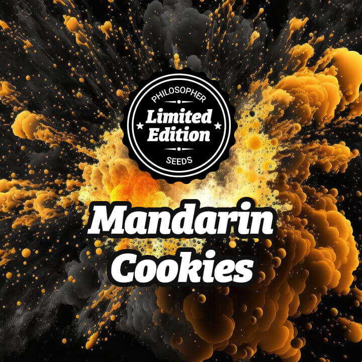 Os Mandarin Cookies têm efeito equilibrado e proporcionam uma agradável sensação de relaxamento corporal