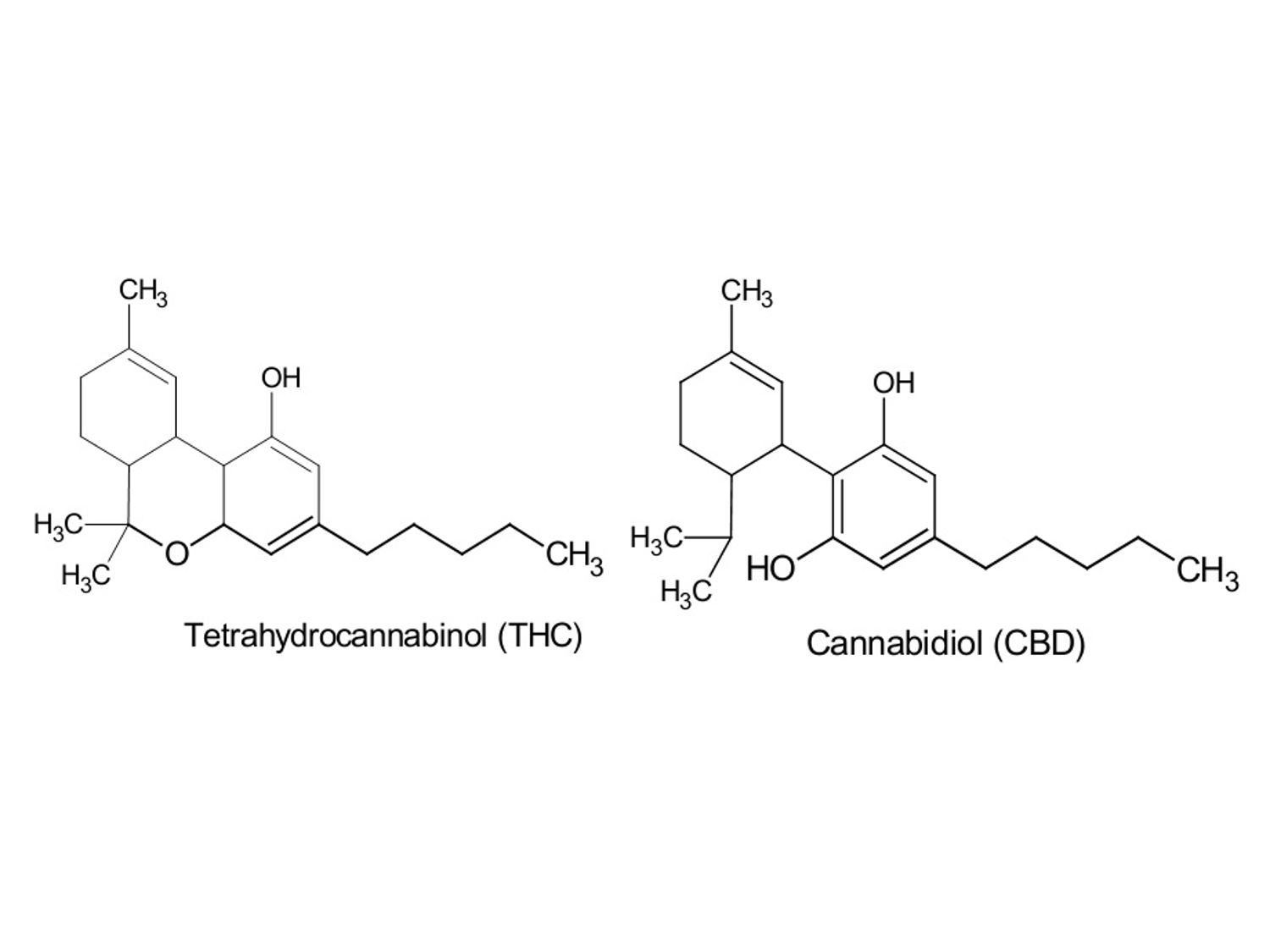 Anandamida, la felicidad presente en una molécula