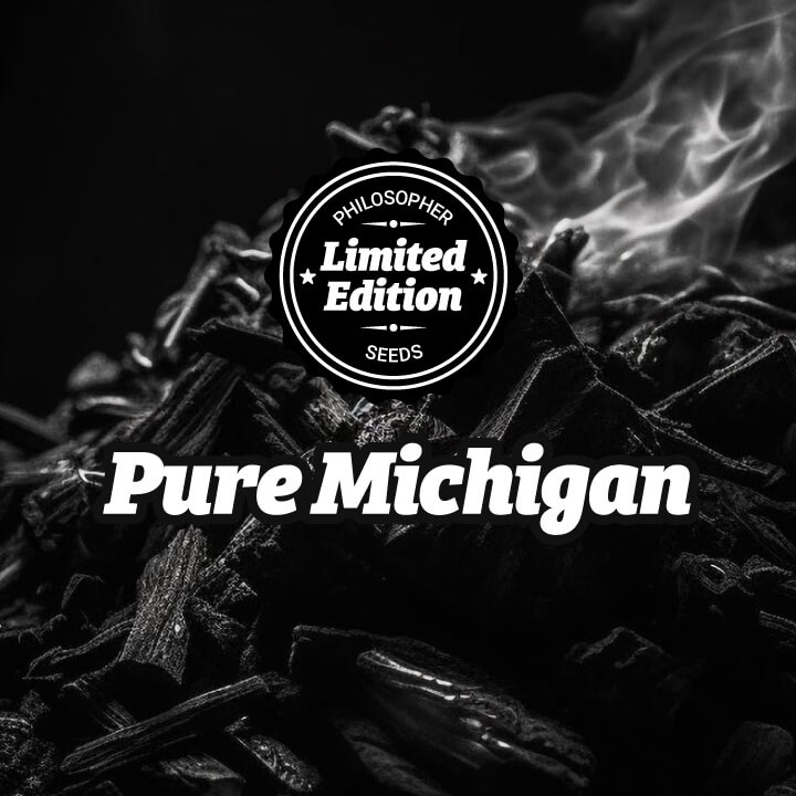 Pure Michigan, potencia desatada y sabor único Philosopher Seeds