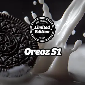 Oreoz S1, Oreoz x Oreoz, extreme THC and sweet biscuit and bitter chocolate aromas Oreoz S1