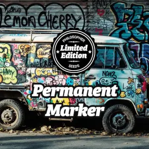 Permanent Marker by Philosopher Seeds, tropical aromas and Cookies with high THC content Permanent Marker