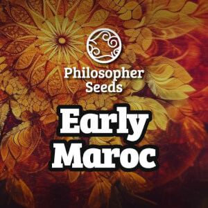 Early Maroc, une variété locale marocaine à floraison précoce Early Maroc