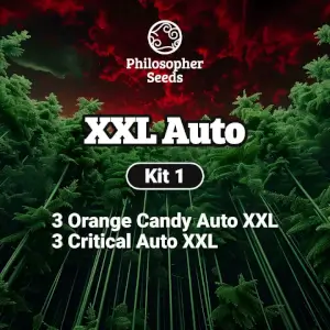 Kit of marijuana seeds Auto XXL by Philosopher Seeds XXL Auto Kit