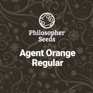 Agent Orange Regular Agent Orange Regular