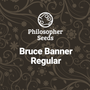 Bruce Banner Regular Bruce Banner Regular