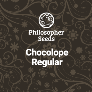 Chocolope Regular Chocolope Regular