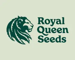 Royal Queen Seeds