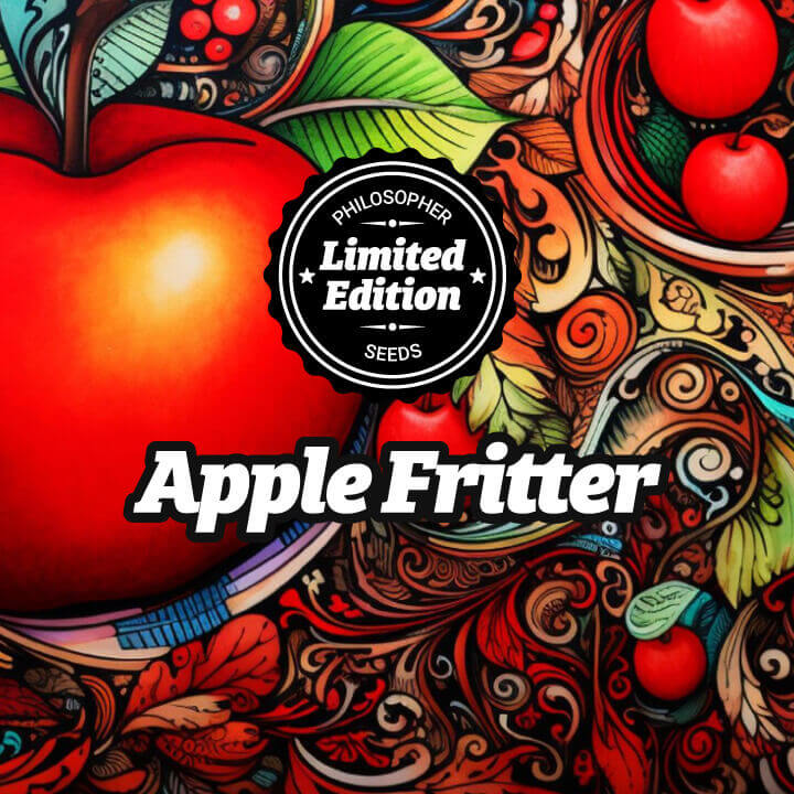 Apple Fritter