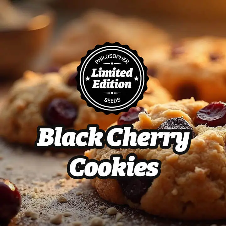 Black Cherry Cookies