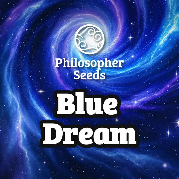 Blue Dream - Philosopher Seeds