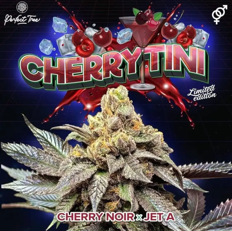 Cherrytini Regular