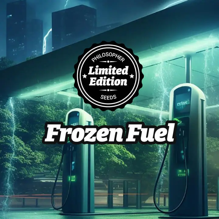 Frozen Fuel