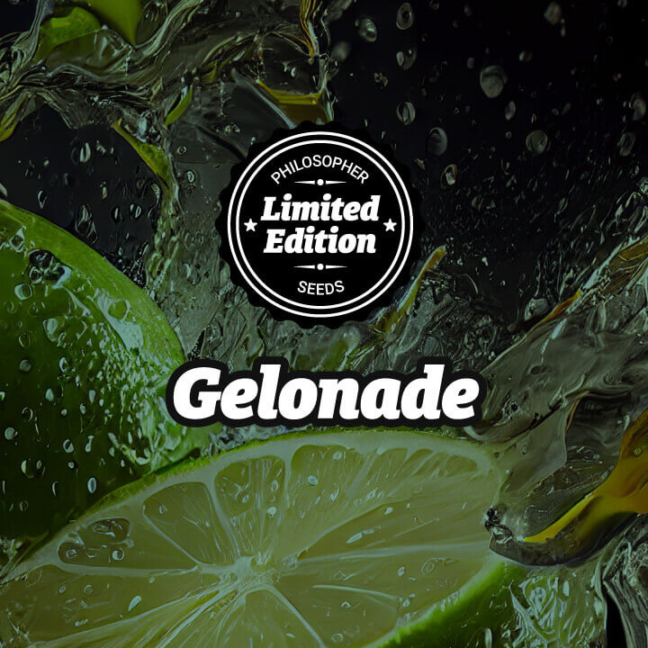 Gelonade