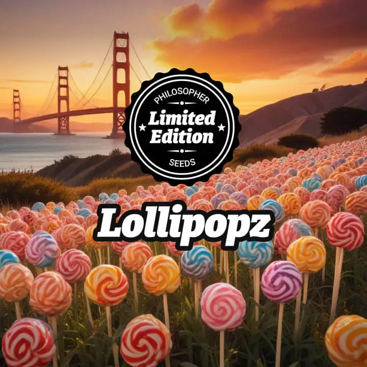 Lollipopz