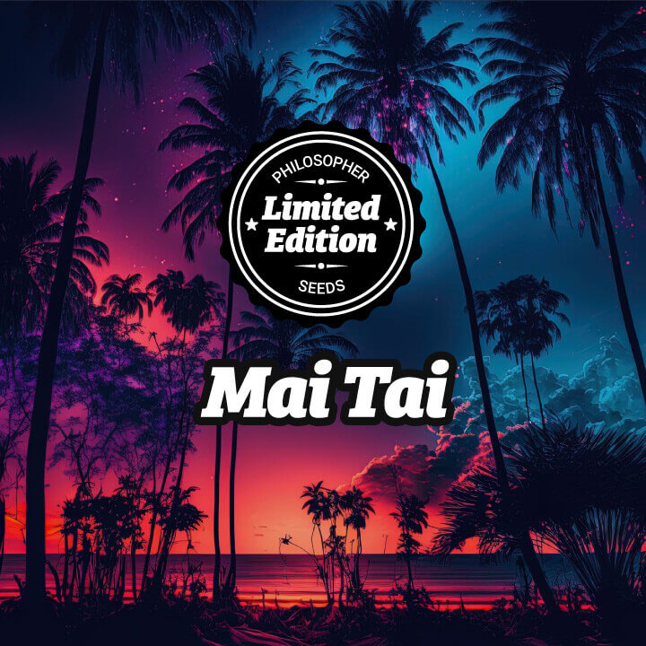 Mai Tai