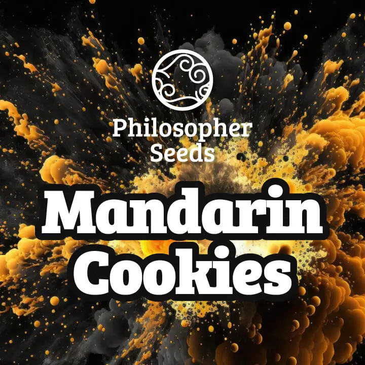 Mandarin Cookies