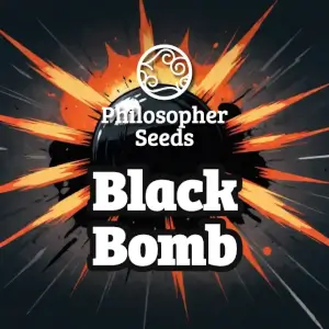 Promo Black Bomb