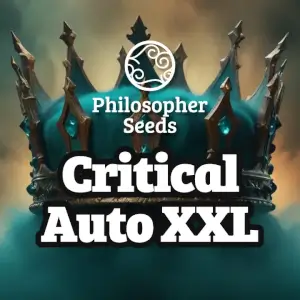 Critical Auto Fem Promo Philosopher Seeds