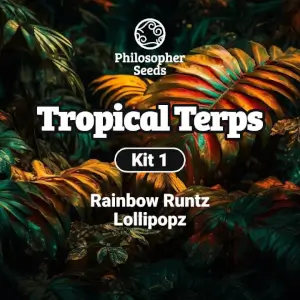 Kit Tropical Terps