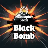 Black Bomb promo Philosopher Seeds