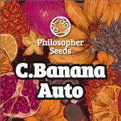 C.Banana Auto 