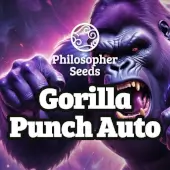Gorilla Punch Auto 