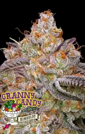 Granny Candy