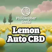 Lemon Auto CBD
