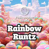 Rainbow Runtz