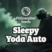 Sleepy Yoda Auto
