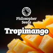 Tropimango Promo Philosopher Seeds