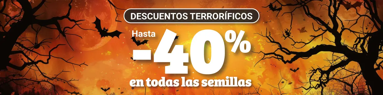 Descuentos terrorificos 24