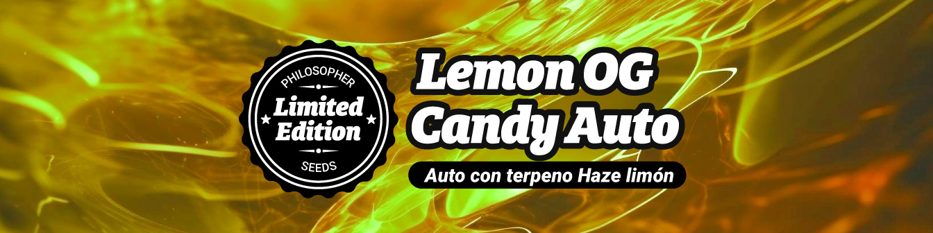 Lemon og candy auto generic