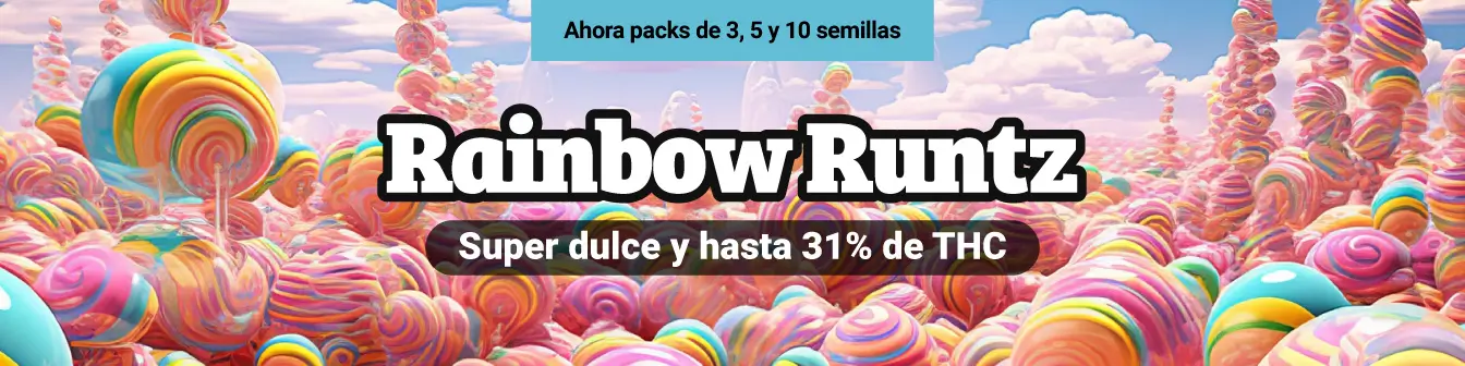 Rainbow Runtz Philo 24